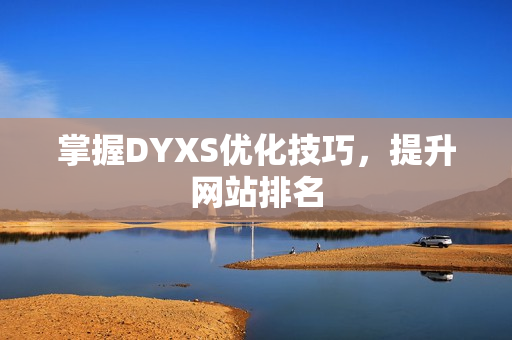 掌握DYXS优化技巧，提升网站排名