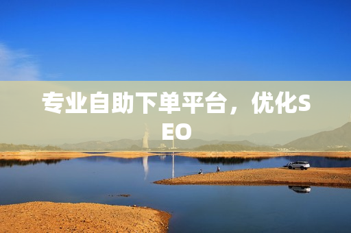 专业自助下单平台，优化SEO