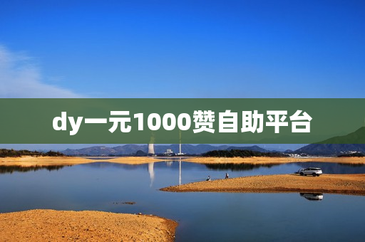 dy一元1000赞自助平台