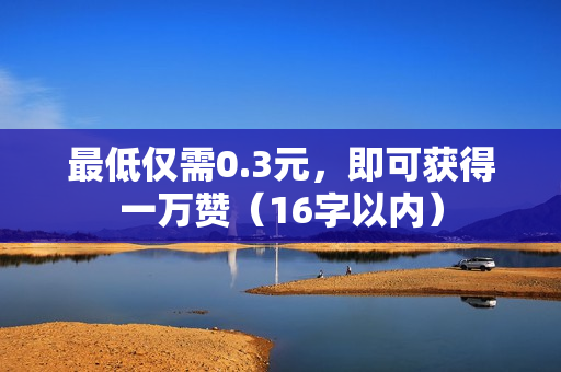 最低仅需0.3元，即可获得一万赞（16字以内）