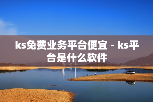 ks免费业务平台便宜 - ks平台是什么软件