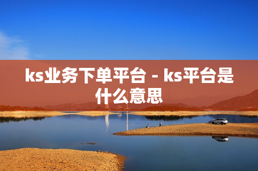 ks业务下单平台 - ks平台是什么意思