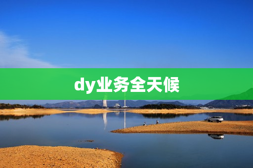 dy业务全天候