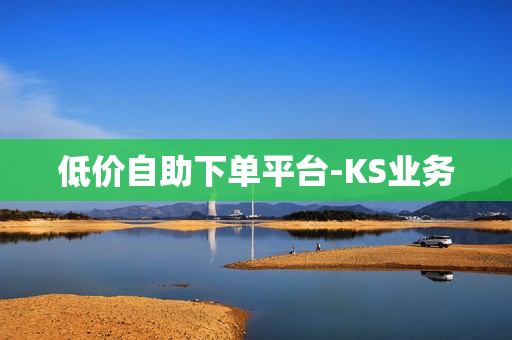 低价自助下单平台-KS业务