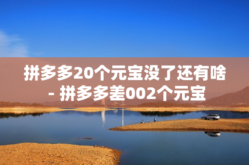 拼多多20个元宝没了还有啥 - 拼多多差002个元宝