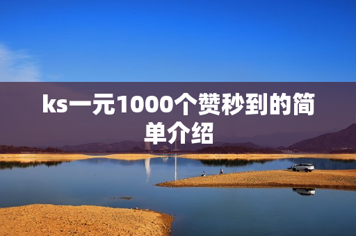 ks一元1000个赞秒到的简单介绍