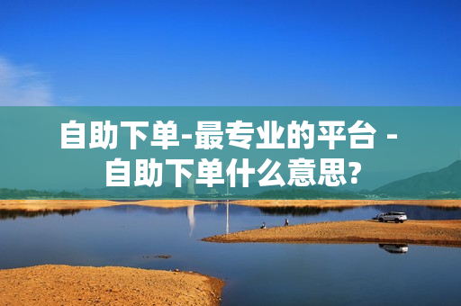 自助下单-最专业的平台 - 自助下单什么意思?