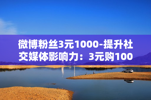 微博粉丝3元1000-提升社交媒体影响力：3元购1000微博粉丝策略解析与优化