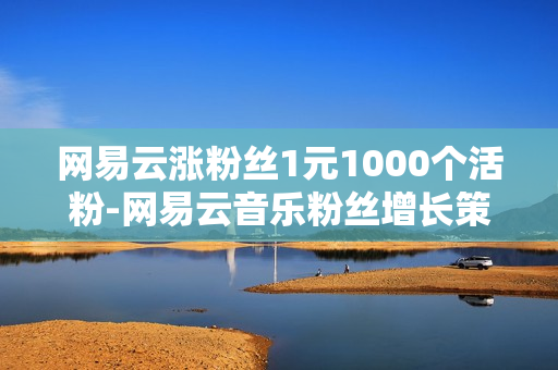 网易云涨粉丝1元1000个活粉-网易云音乐粉丝增长策略揭秘：1元购1000活粉背后的操作与价值