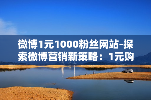 微博1元1000粉丝网站-探索微博营销新策略：1元购1000粉丝网站的实操指南与SEO优化秘籍