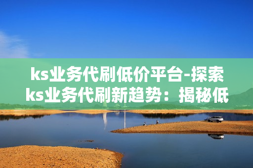 ks业务代刷低价平台-探索ks业务代刷新趋势：揭秘低价平台背后的运营策略与风险