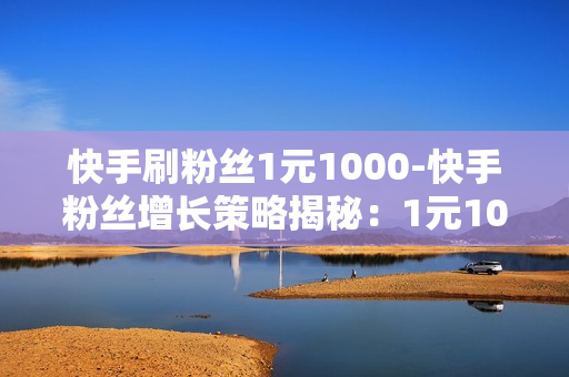 快手刷粉丝1元1000-快手粉丝增长策略揭秘：1元1000粉丝背后的营销法则