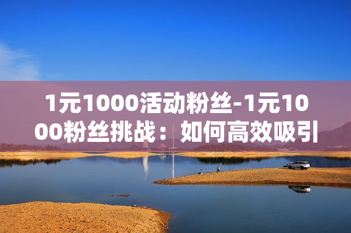 1元1000活动粉丝-1元1000粉丝挑战：如何高效吸引并运营社交媒体红利