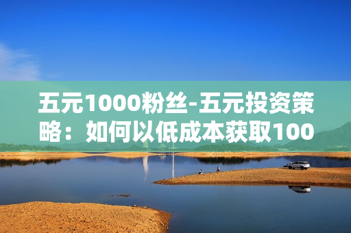 五元1000粉丝-五元投资策略：如何以低成本获取1000忠实粉丝的实战指南