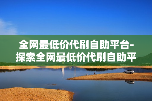 全网最低价代刷自助平台-探索全网最低价代刷自助平台：优势、策略与选择指南