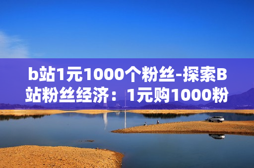 b站1元1000个粉丝-探索B站粉丝经济：1元购1000粉丝背后的秘密与策略