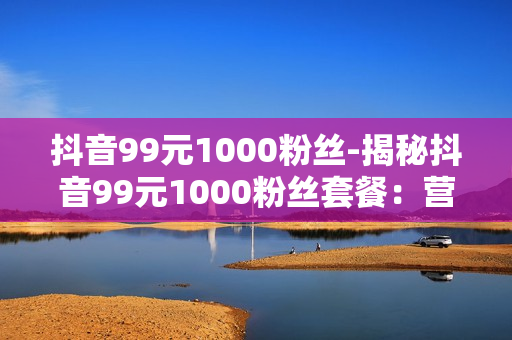 抖音99元1000粉丝-揭秘抖音99元1000粉丝套餐：营销策略与性价比分析