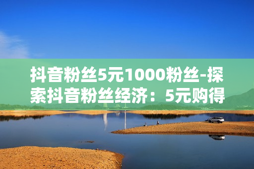 抖音粉丝5元1000粉丝-探索抖音粉丝经济：5元购得1000粉丝背后的策略与价值