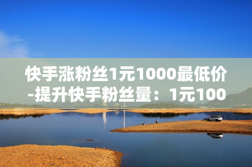 快手涨粉丝1元1000最低价-提升快手粉丝量：1元1000粉丝策略揭秘与优化指南