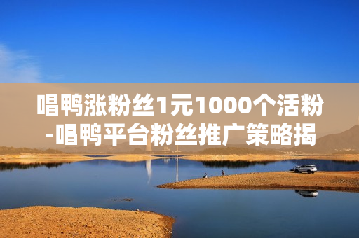 唱鸭涨粉丝1元1000个活粉-唱鸭平台粉丝推广策略揭秘：1元购1000活粉背后的运营玄机