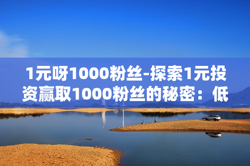 1元呀1000粉丝-探索1元投资赢取1000粉丝的秘密：低成本社交媒体策略