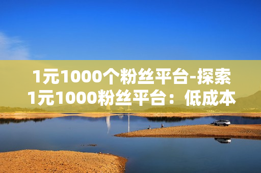 1元1000个粉丝平台-探索1元1000粉丝平台：低成本增长策略与实践指南