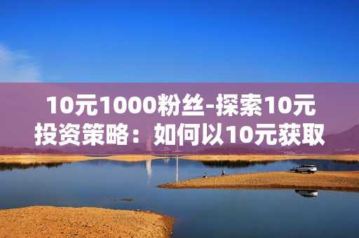 10元1000粉丝-探索10元投资策略：如何以10元获取1000真实粉丝的全面指南