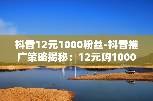 抖音12元1000粉丝-抖音推广策略揭秘：12元购1000粉丝背后的运营策略与价值分析