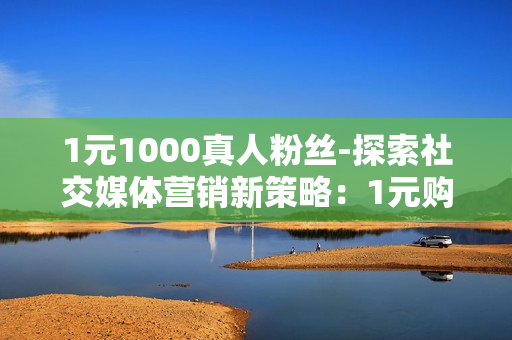 1元1000真人粉丝-探索社交媒体营销新策略：1元购得1000真实粉丝的奥秘与价值