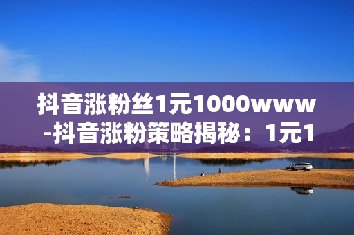 抖音涨粉丝1元1000www-抖音涨粉策略揭秘：1元1000粉丝背后的操作与优化