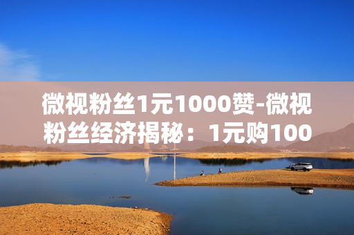 微视粉丝1元1000赞-微视粉丝经济揭秘：1元购1000赞背后的运营策略与价值分析