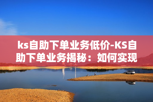 ks自助下单业务低价-KS自助下单业务揭秘：如何实现高效低价操作指南