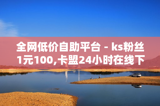 全网低价自助平台 - ks粉丝1元100,卡盟24小时在线下单平台最低价 - 球球24小时自助下单网站