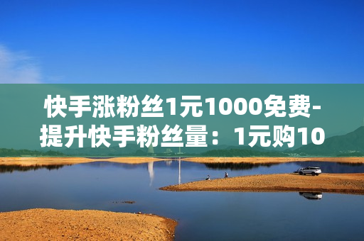 快手涨粉丝1元1000免费-提升快手粉丝量：1元购1000粉丝计划揭秘与优化策略