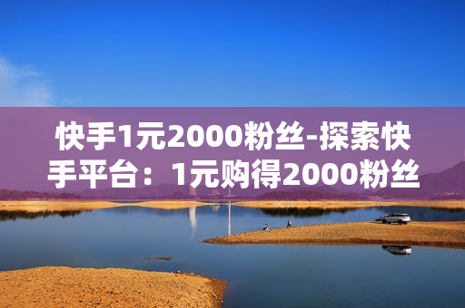 快手1元2000粉丝-探索快手平台：1元购得2000粉丝的秘密策略与实践指南