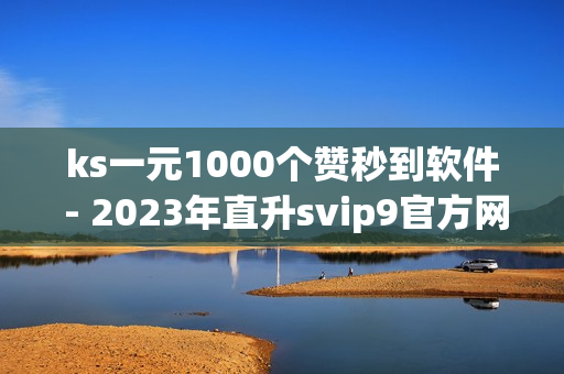 ks一元1000个赞秒到软件 - 2023年直升svip9官方网址,卡密商城平台 - 球球大作战刷观战商城