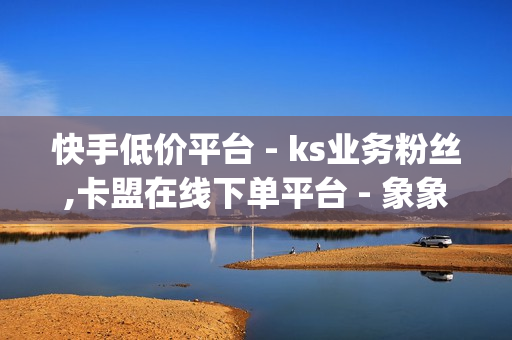 快手低价平台 - ks业务粉丝,卡盟在线下单平台 - 象象耶点赞app