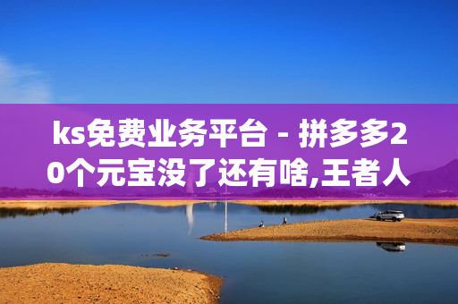 ks免费业务平台 - 拼多多20个元宝没了还有啥,王者人气值网站最便宜 - pubg卡密购买平台