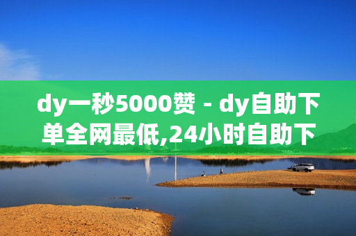 dy一秒5000赞 - dy自助下单全网最低,24小时自助下单全网最低价 - 点赞网