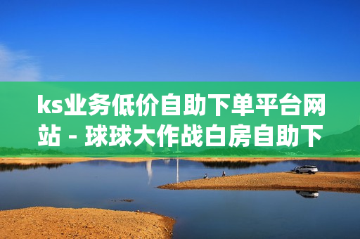 ks业务低价自助下单平台网站 - 球球大作战白房自助下单网站,王者自助下单优惠活动 - 助力砍价app