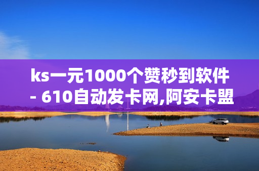 ks一元1000个赞秒到软件 - 610自动发卡网,阿安卡盟24小时自助下单 - 球球商城24小时自助下单网页