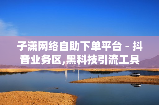 子潇网络自助下单平台 - 抖音业务区,黑科技引流工具 - yy卡盟pubg