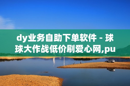 dy业务自助下单软件 - 球球大作战低价刷爱心网,pubg卡网24小时自助下单 - qq业务卡盟平台