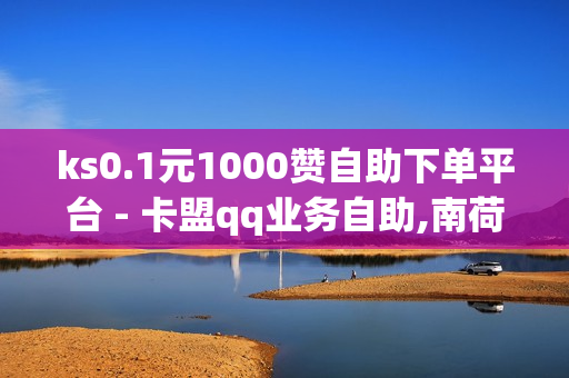 ks0.1元1000赞自助下单平台 - 卡盟qq业务自助,南荷软件创始人背景故事 - 猫猫耶24小时自助下单