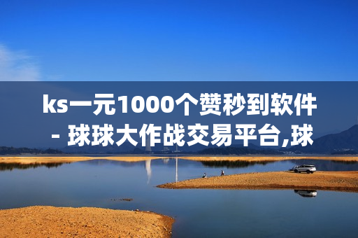 ks一元1000个赞秒到软件 - 球球大作战交易平台,球球商城自助下单网站 - qq黄钻充值平台便宜