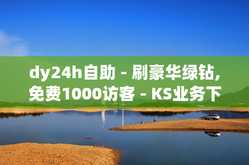 dy24h自助 - 刷豪华绿钻,免费1000访客 - KS业务下单平台