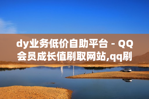 dy业务低价自助平台 - QQ会员成长值刷取网站,qq刷钻卡盟永久免费 - 云商城搭建