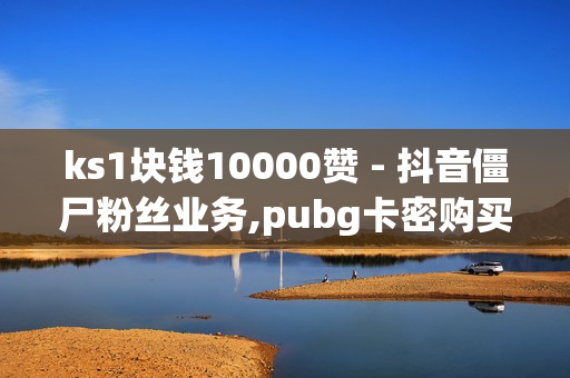 ks1块钱10000赞 - 抖音僵尸粉丝业务,pubg卡密购买平台 - 全网下单平台