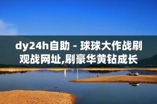 dy24h自助 - 球球大作战刷观战网址,刷豪华黄钻成长值网站 - 便宜粉丝