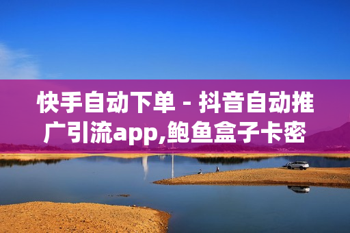 快手自动下单 - 抖音自动推广引流app,鲍鱼盒子卡密24小时自动发卡平台 - 王者荣耀人气值下单